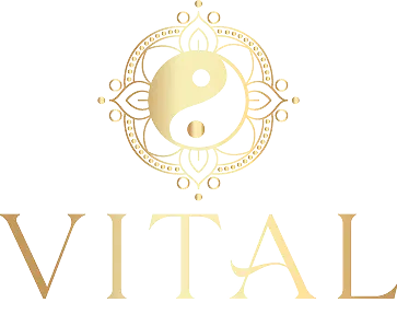 Simplifique processos e multiplique resultados com a Vital